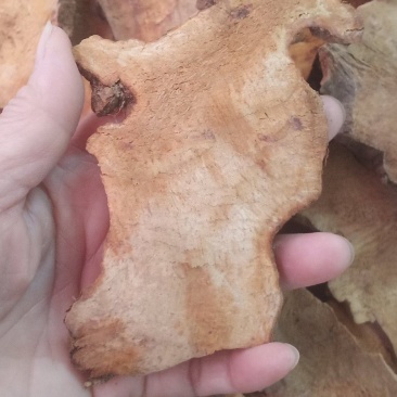 无硫大片土茯苓中药批发一手货源量大忧惠