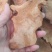 无硫大片土茯苓中药批发一手货源量大忧惠