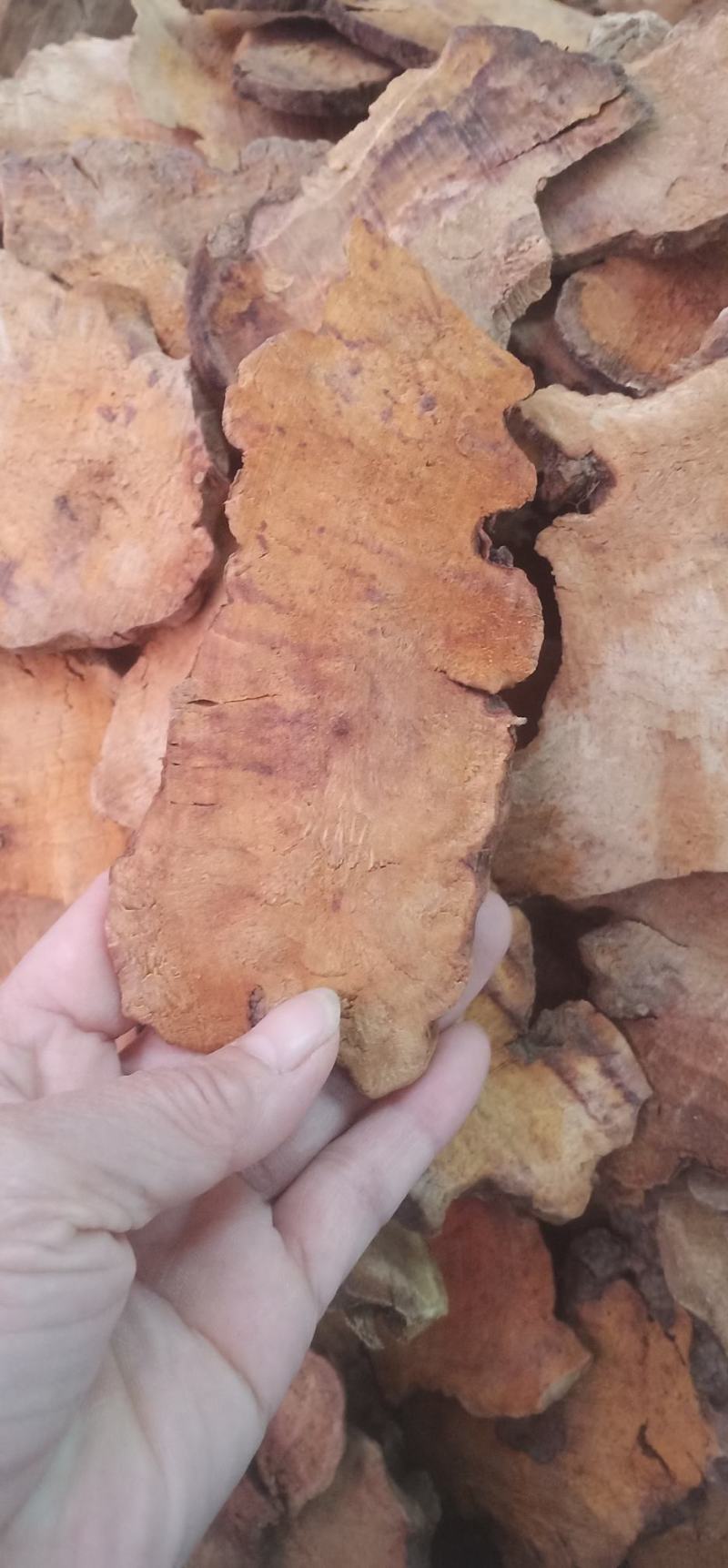 无硫大片土茯苓中药批发一手货源量大忧惠