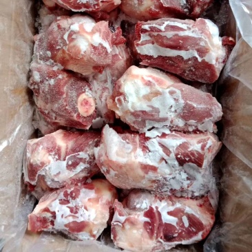 多肉棒骨，顺康多肉棒骨最新日期！现场实拍！