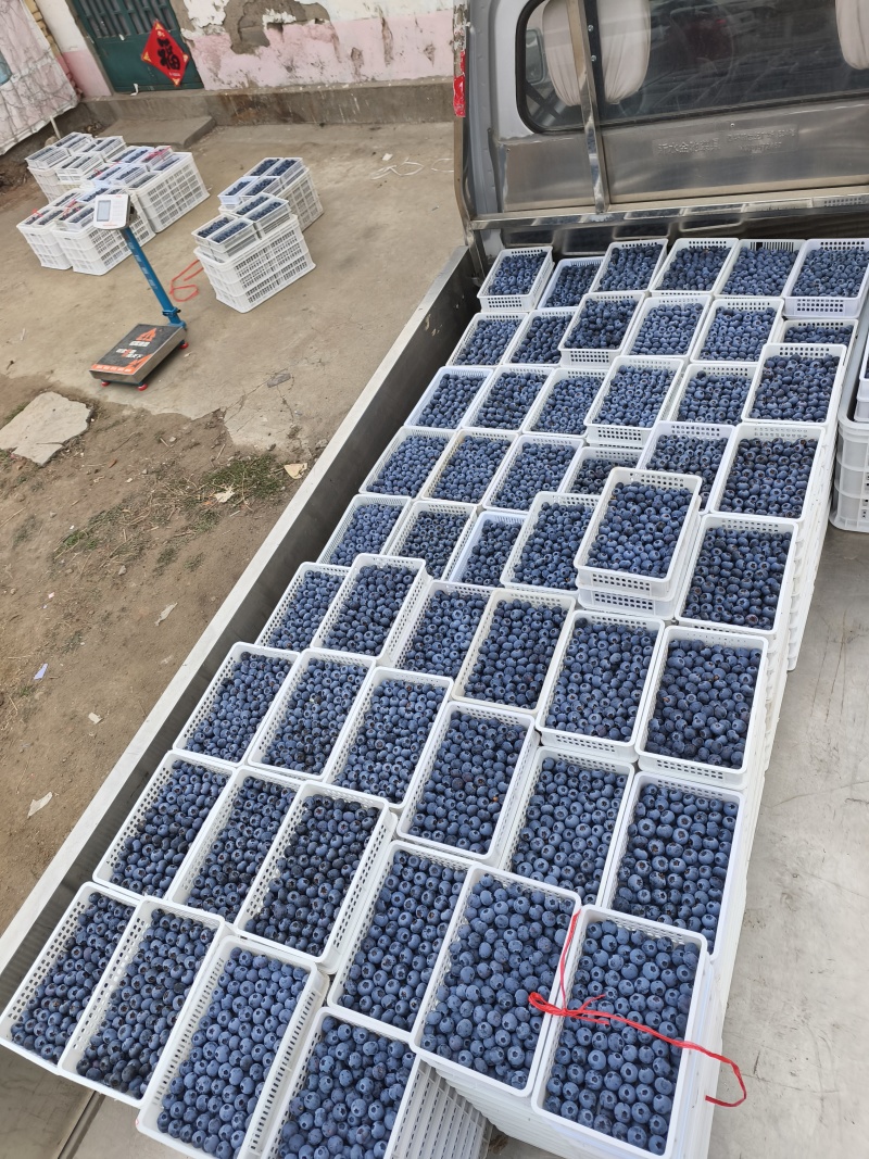 H5大量上市中，欢迎选购