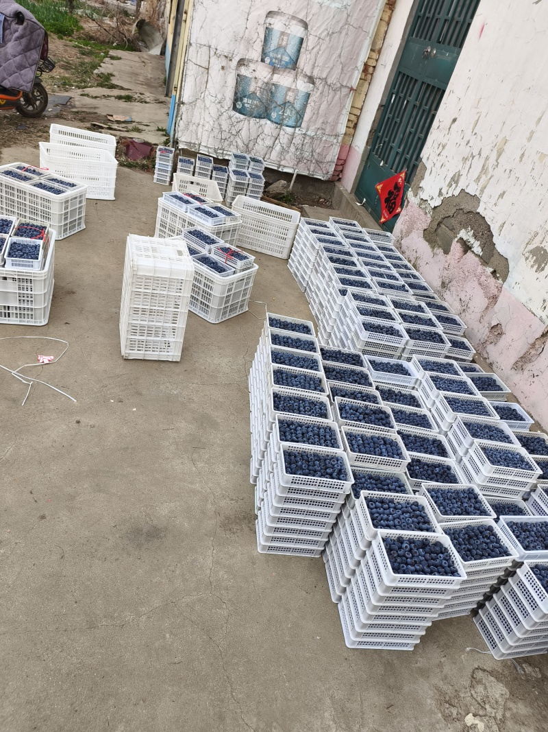H5大量上市中，欢迎选购