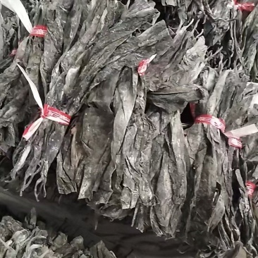 35至40公分海带头，商超品质