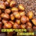 现炒开口原味栗子熟板栗即食新鲜带壳现发散装坚果炒货休闲零