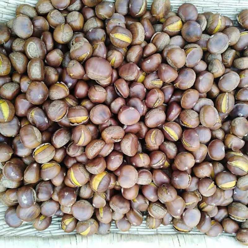 开口糖炒栗子熟板栗炒熟山东板栗仁新鲜甜糯即食现炒散装坚果