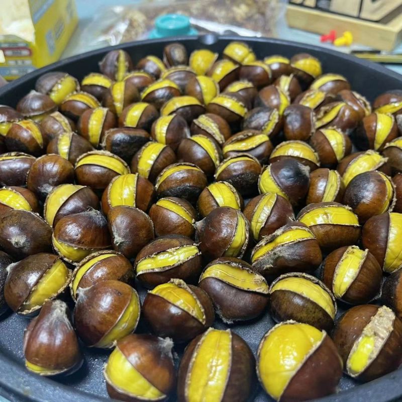 开口糖炒栗子熟板栗炒熟山东板栗仁新鲜甜糯即食现炒散装坚果