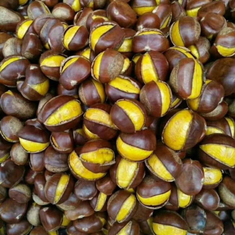 开口糖炒栗子熟板栗炒熟山东板栗仁新鲜甜糯即食现炒散装坚果