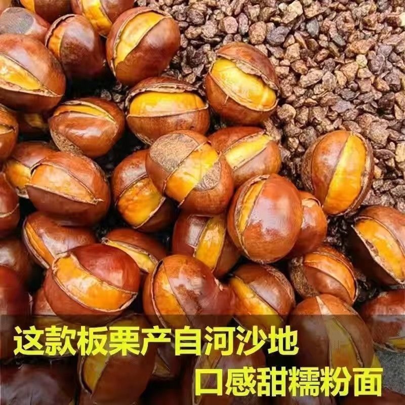 现炒开口糖炒栗子熟板栗即食新鲜带壳现发散装坚果炒货休闲零