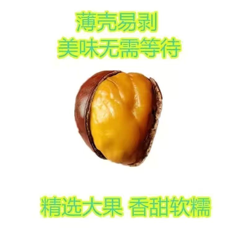 糖炒栗子炒熟板栗云南高山野生板栗软糯香甜带壳即食大果开口