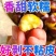 糖炒栗子炒熟板栗云南高山野生板栗软糯香甜带壳即食大果开口