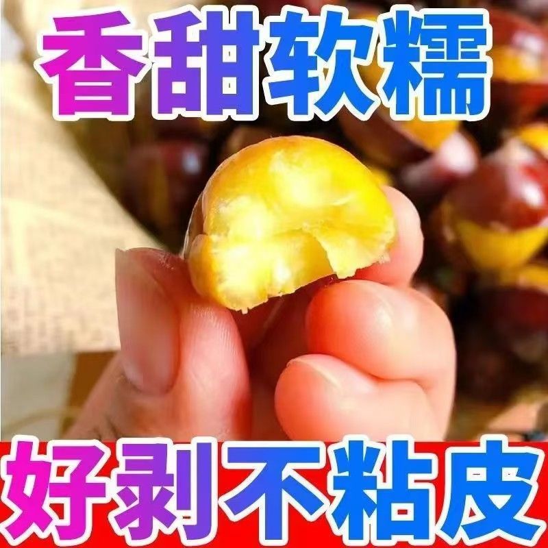 糖炒栗子炒熟板栗云南高山野生板栗软糯香甜带壳即食大果开口