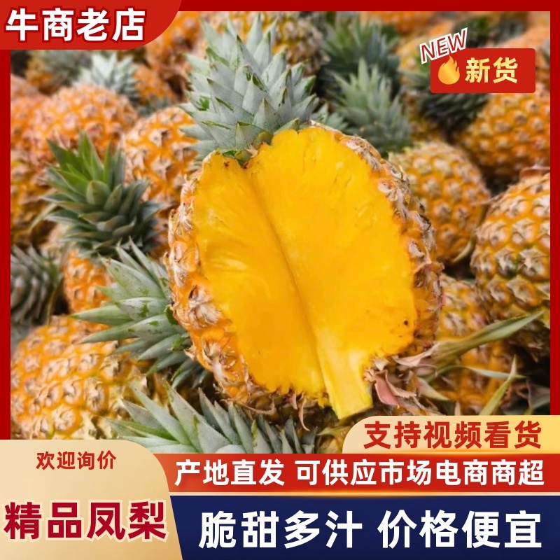 精品菠萝🍍金钻凤梨、香甜可口饱满多汁货源保障充足