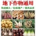 高效矿源黄腐酸叶面肥25kg净重养殖生产净化水质生根促苗