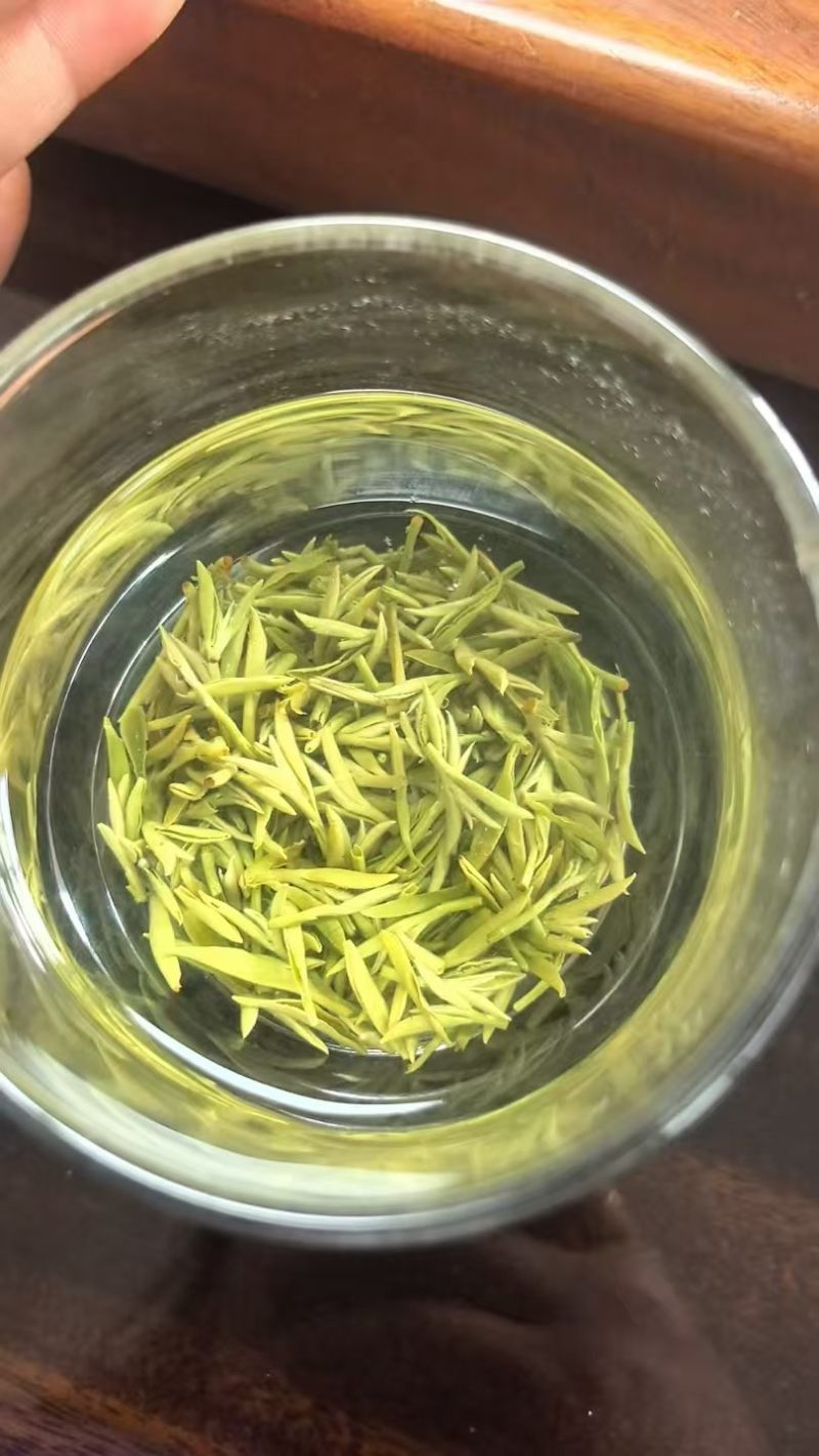 大量批发雅安绿茶