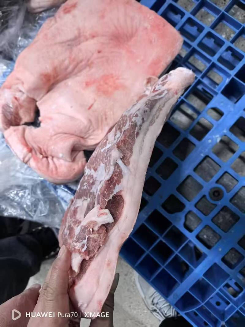 肥猪带皮前上肉