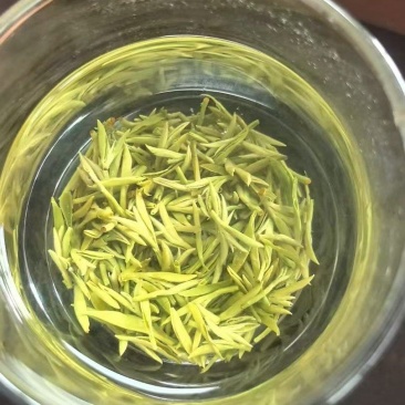 雅安绿茶