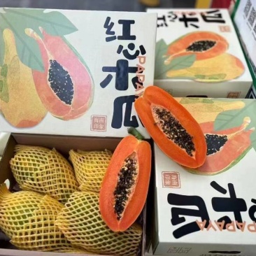 精品水果木瓜60一件包邮包售后净果8斤一件有3到4个