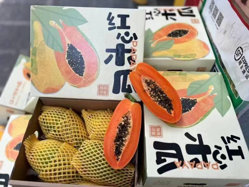 精品水果木瓜60一件包邮包售后净果8斤一件有3到4个