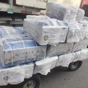 纯干筋头巴脑