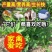 进口大叶紫花苜蓿种子多年生耐寒四季牧草高产种籽牛羊马鸡鸭