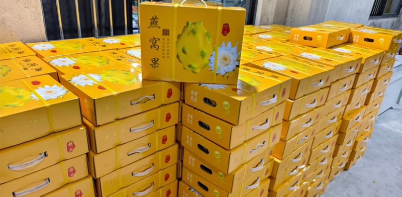海南燕窝果一件代发社区团购档口批发