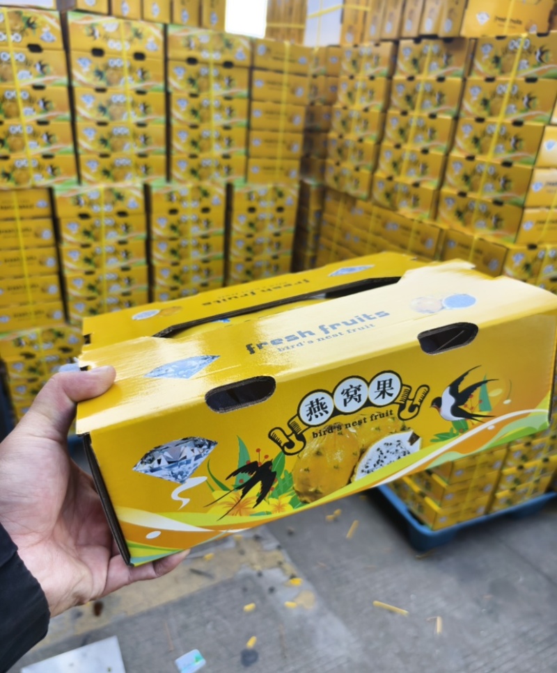 海南燕窝果一件代发社区团购档口批发
