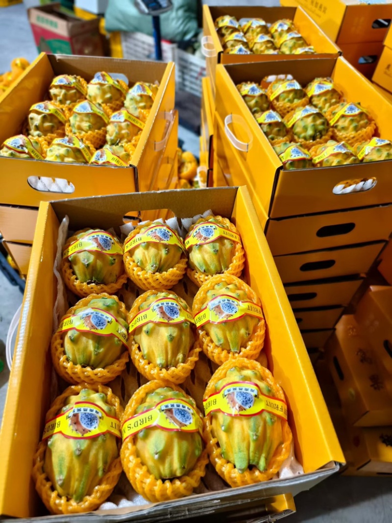 海南燕窝果一件代发社区团购档口批发
