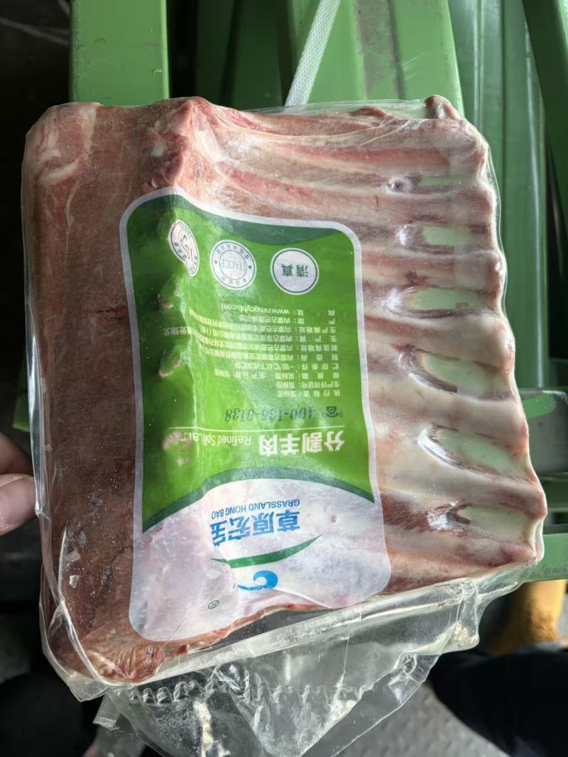 草原宏宝七肋法排