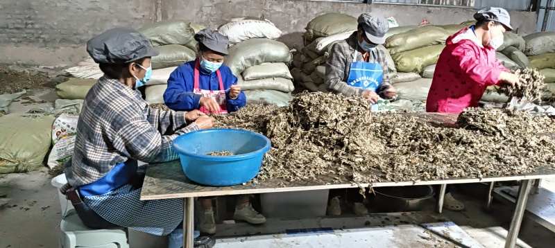 艾柱艾灸柱五年陈年家用纯艾叶艾灸条养生馆医用随身灸非无烟