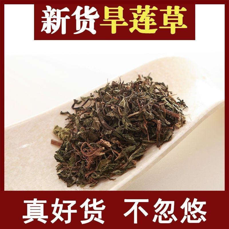 批发旱莲草墨旱莲草草药旱连草过筛吸尘中药材批发零售