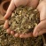 鸡骨草中药材黄头草茶大黄草猪腰草煲汤草药各种规格批发零售
