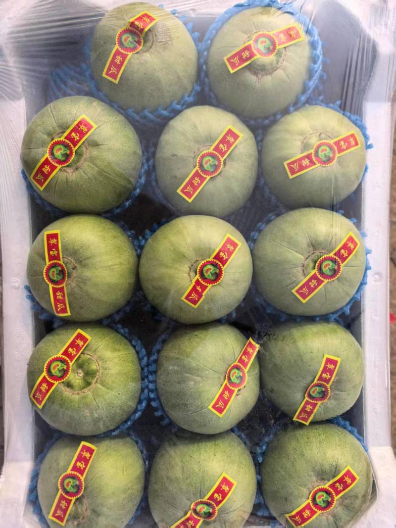 【推荐】山东优质绿宝甜瓜种植基地品质电商一件代发