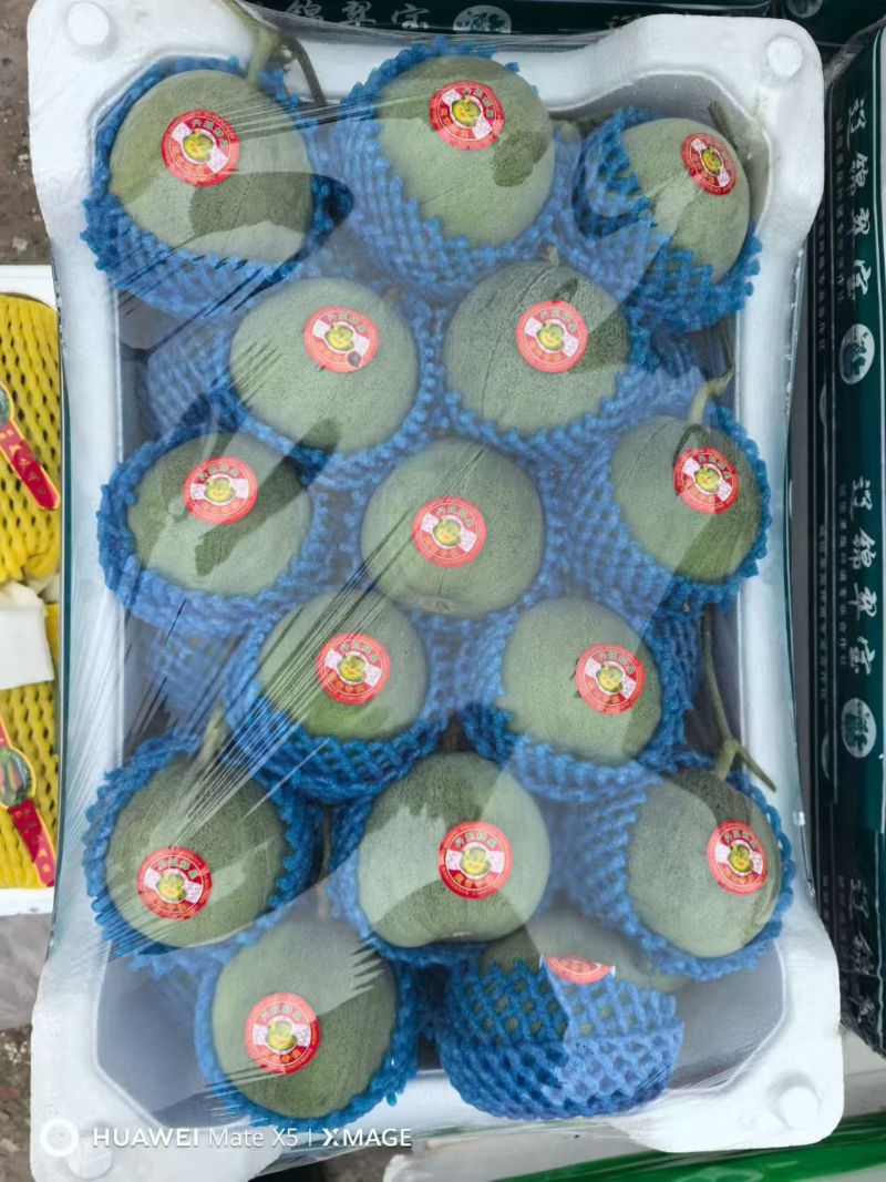 【推荐】山东优质绿宝甜瓜种植基地品质电商一件代发