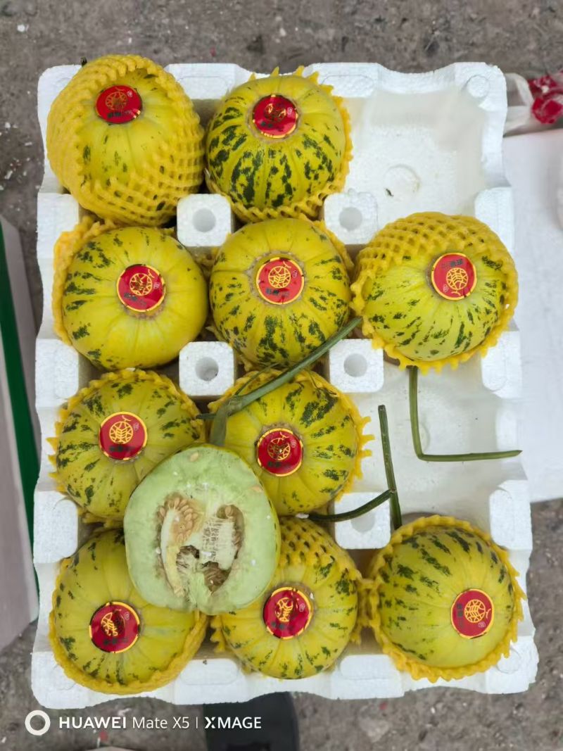 山东花美人花蕾甜瓜新鲜现摘品质电商一件代发欢迎下单