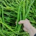三号鲜辣椒大量供应市场工厂电商价格美丽需要的联系