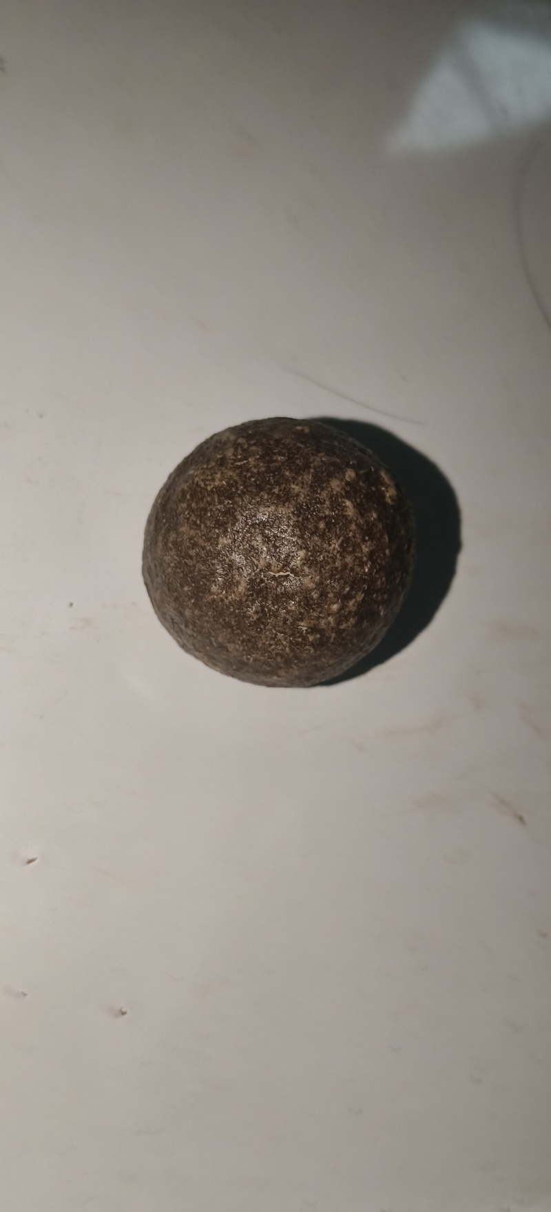 羊宝