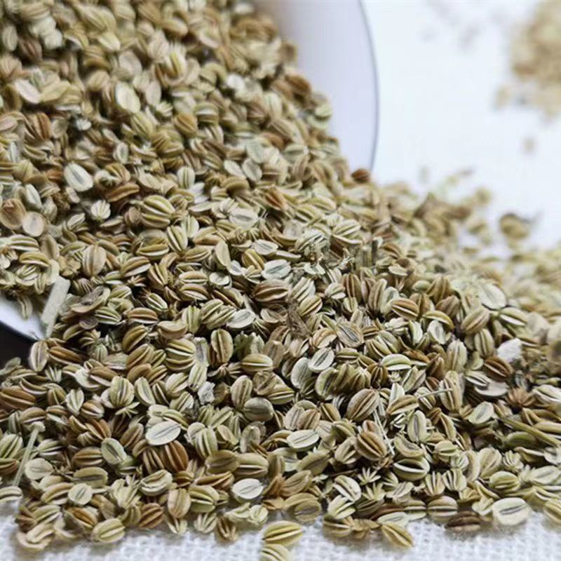 蛇床子中药材正宗散装干货中草药籽药蛇床籽批发零售保质保量