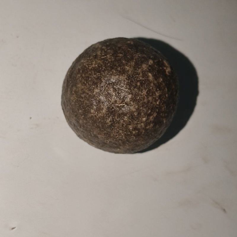 羊宝