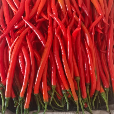 精品红线