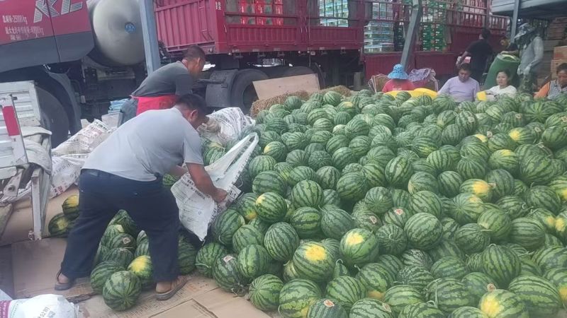 陕西美都西瓜价格优惠量大从优欢迎询价热卖全国清甜可口