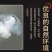 盐渍虎斑海蜇丝，价格合适，适合各种渠道！