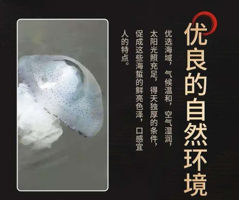 盐渍虎斑海蜇丝，价格合适，适合各种渠道！