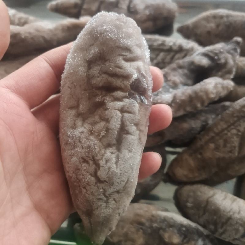 无冰乌参大量有货价格便宜电商团购定制