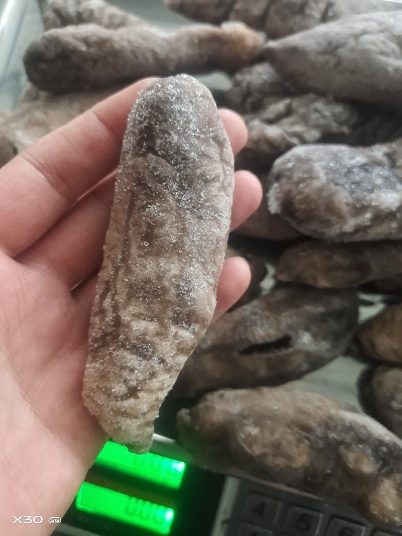 无冰乌参大量有货价格便宜电商团购定制