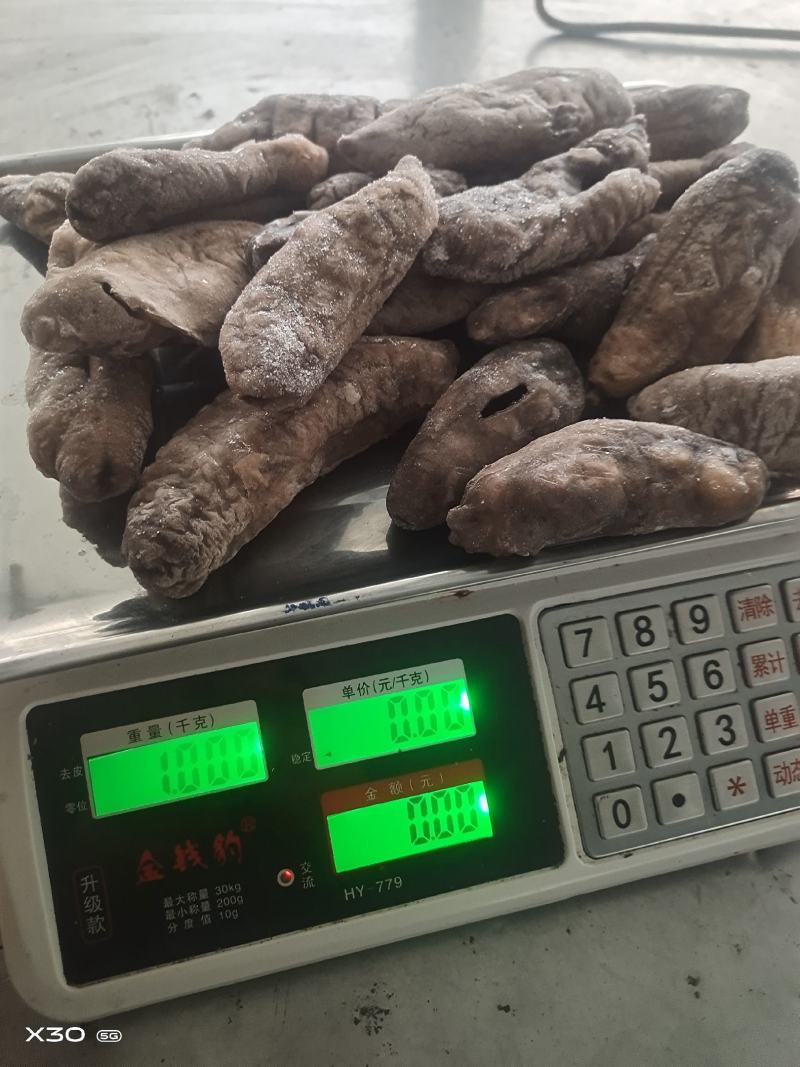 无冰乌参大量有货价格便宜电商团购定制