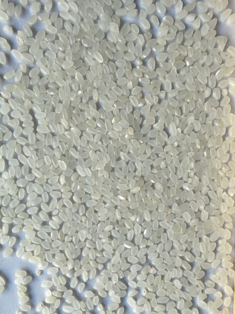 东北珍珠米50公斤白包量小大单勿扰
