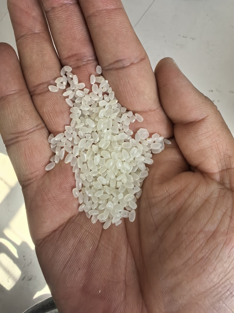 东北珍珠米50公斤白包量小大单勿扰