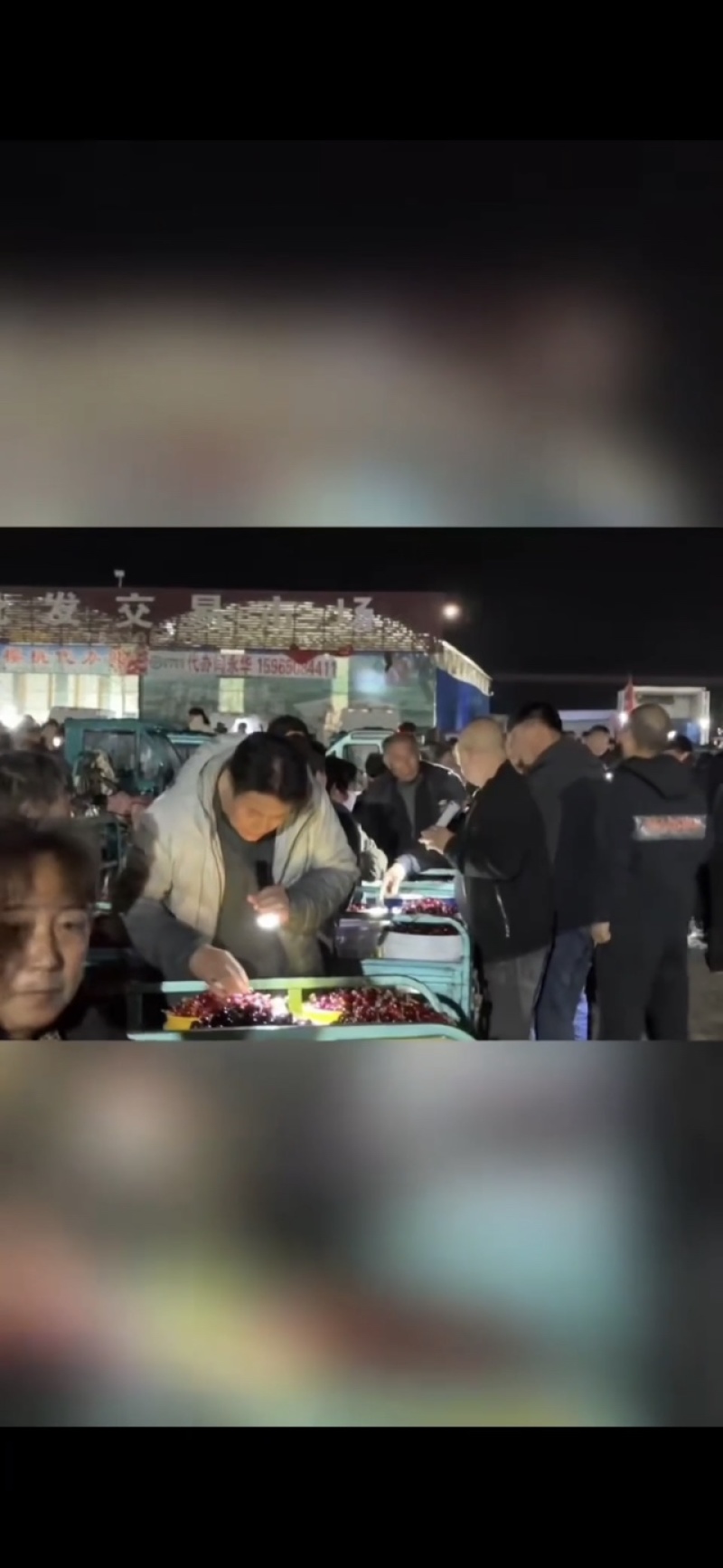 爆浆美早大樱桃陆续上市，欢迎全国各地客商前来咨询考查。