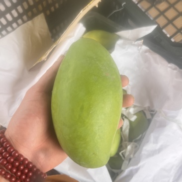 云南芒果，电商一件代发，