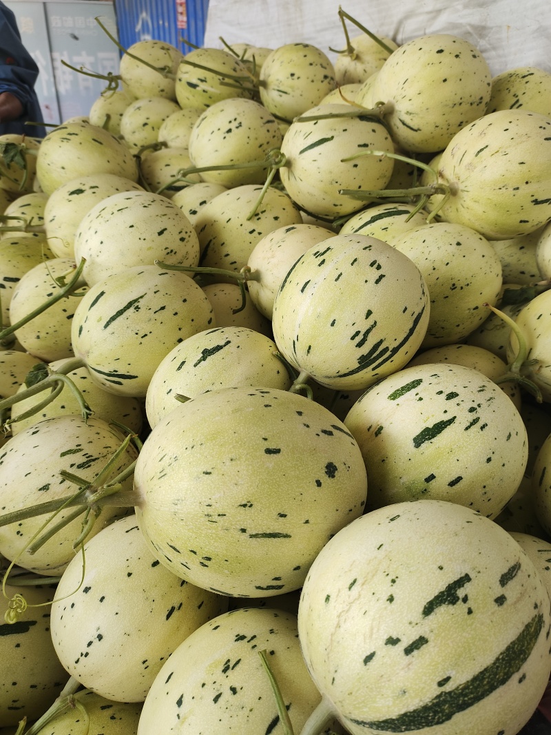蜜露流星甜瓜通货电商精品商场超市，赶集/社区团购